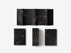 書(shū)籍裝幀藝術(shù) 從歷史演變到現(xiàn)代設(shè)計(jì)