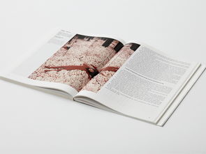 書(shū)籍設(shè)計(jì) 從內(nèi)容到視覺(jué)的藝術(shù)融合