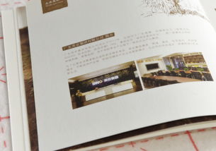 藝之光設(shè)計(jì) 以專業(yè)畫冊(cè)設(shè)計(jì)賦能食品企業(yè)品牌與招商